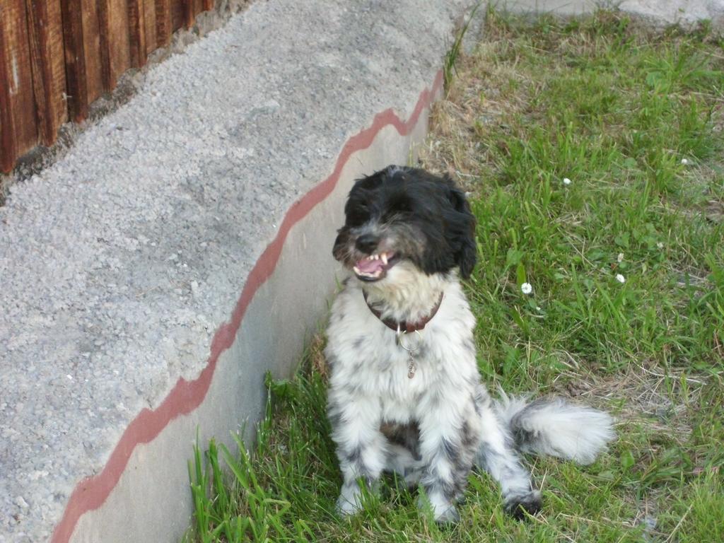 Sedliacka Drevenica Villa Liptovska Osada Luaran gambar