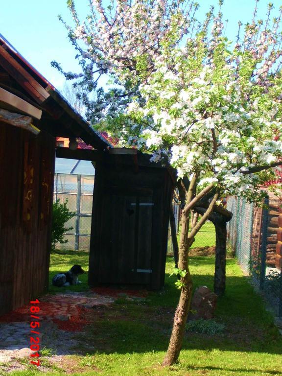 Sedliacka Drevenica Villa Liptovska Osada Luaran gambar